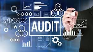 Company Audit